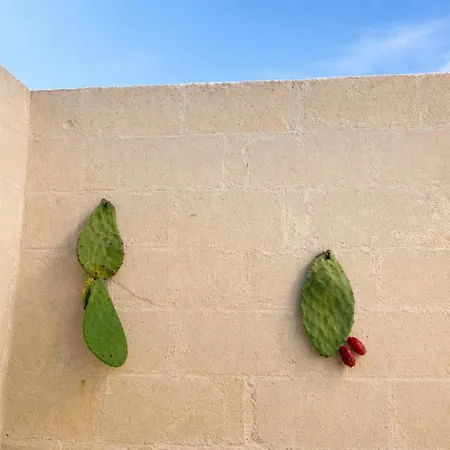 Masseria Cuturi