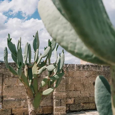 Vakantieboerderij Masseria Cuturi Manduria