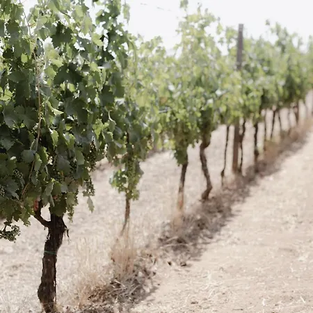 Masseria Cuturi Manduria