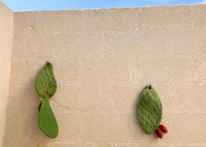 Masseria Cuturi