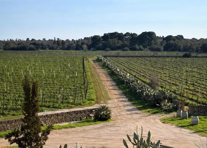 Masseria Cuturi 팜스테이